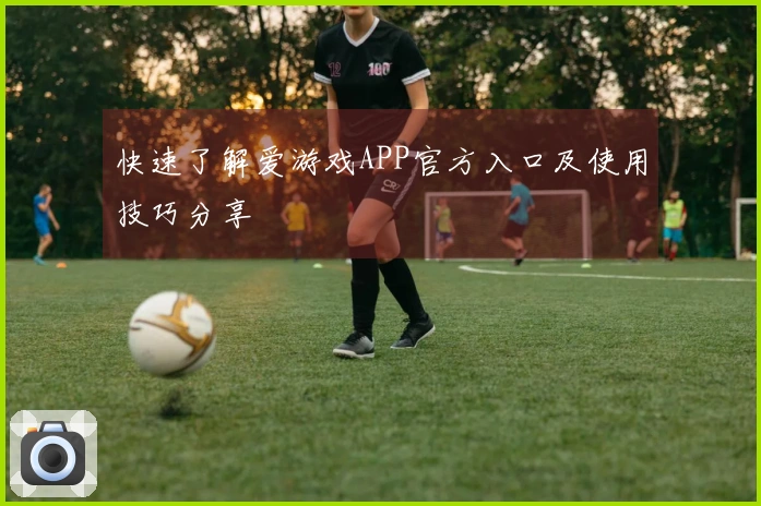 快速了解爱游戏APP官方入口及使用技巧分享