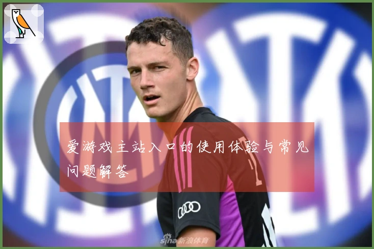 爱游戏主站入口的使用体验与常见问题解答