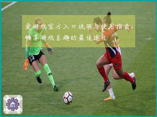 爱游戏官方入口说明与使用指南，畅享游戏乐趣的最佳途径
